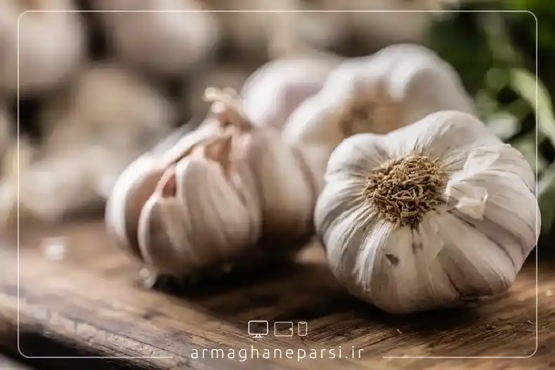 سیر - ارمغان پارسی